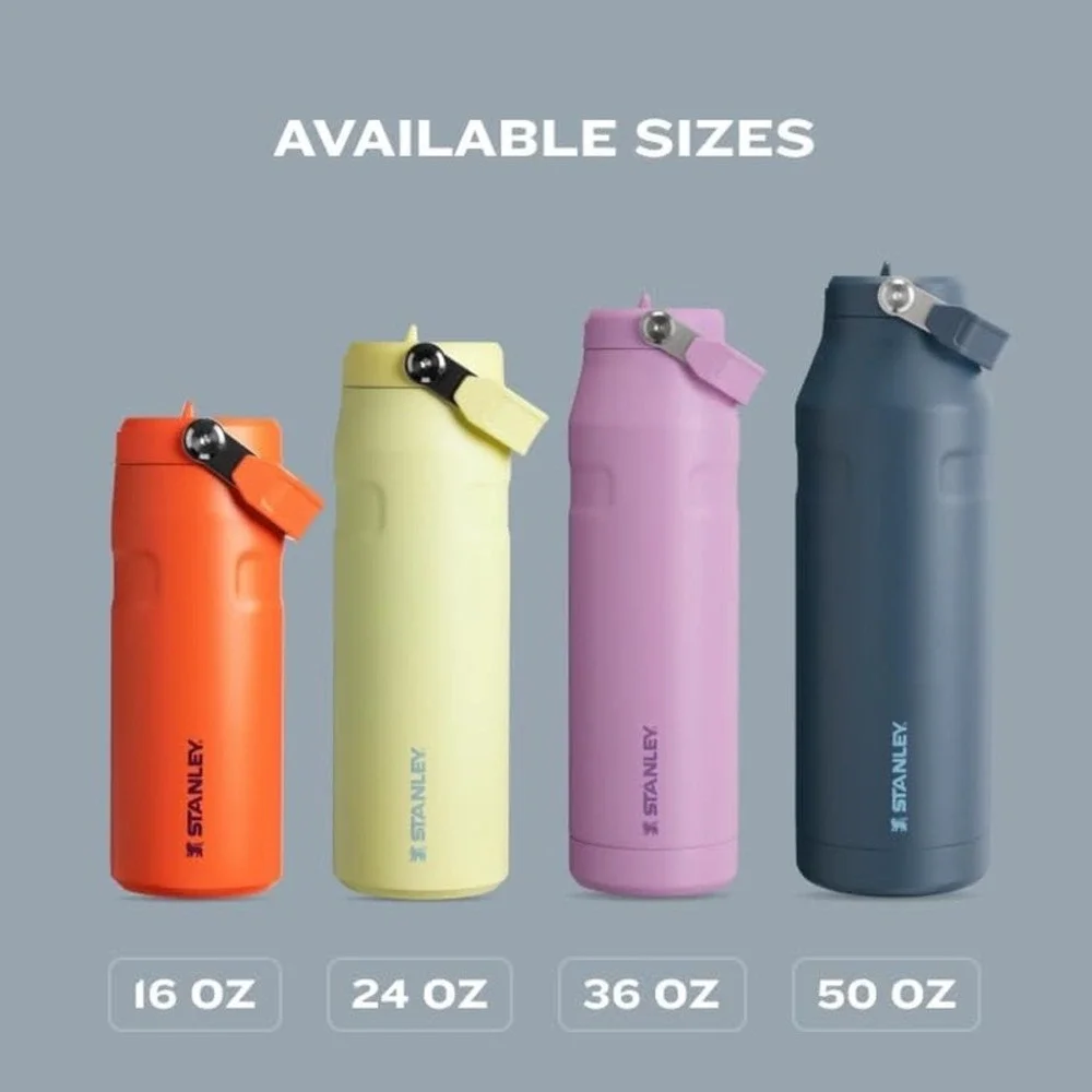 Stanley IceFlow Flip Straw 2.0 24oz Bottle Tigerlily Plum Insulated BPA-Free Cup - Picture 7 of 12